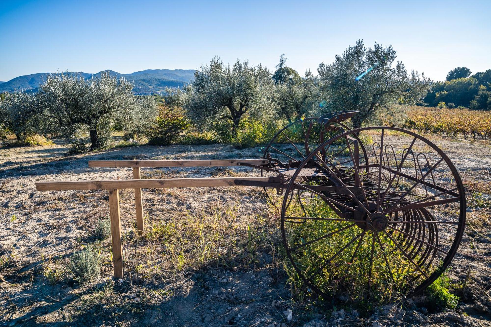 וזון-לה-רומיין Gite "La Sainte-Croix", Traditional Provencal House For 8 People, Private Swimming-Pool, Air-Conditioner, Beautiful Scenery מראה חיצוני תמונה
