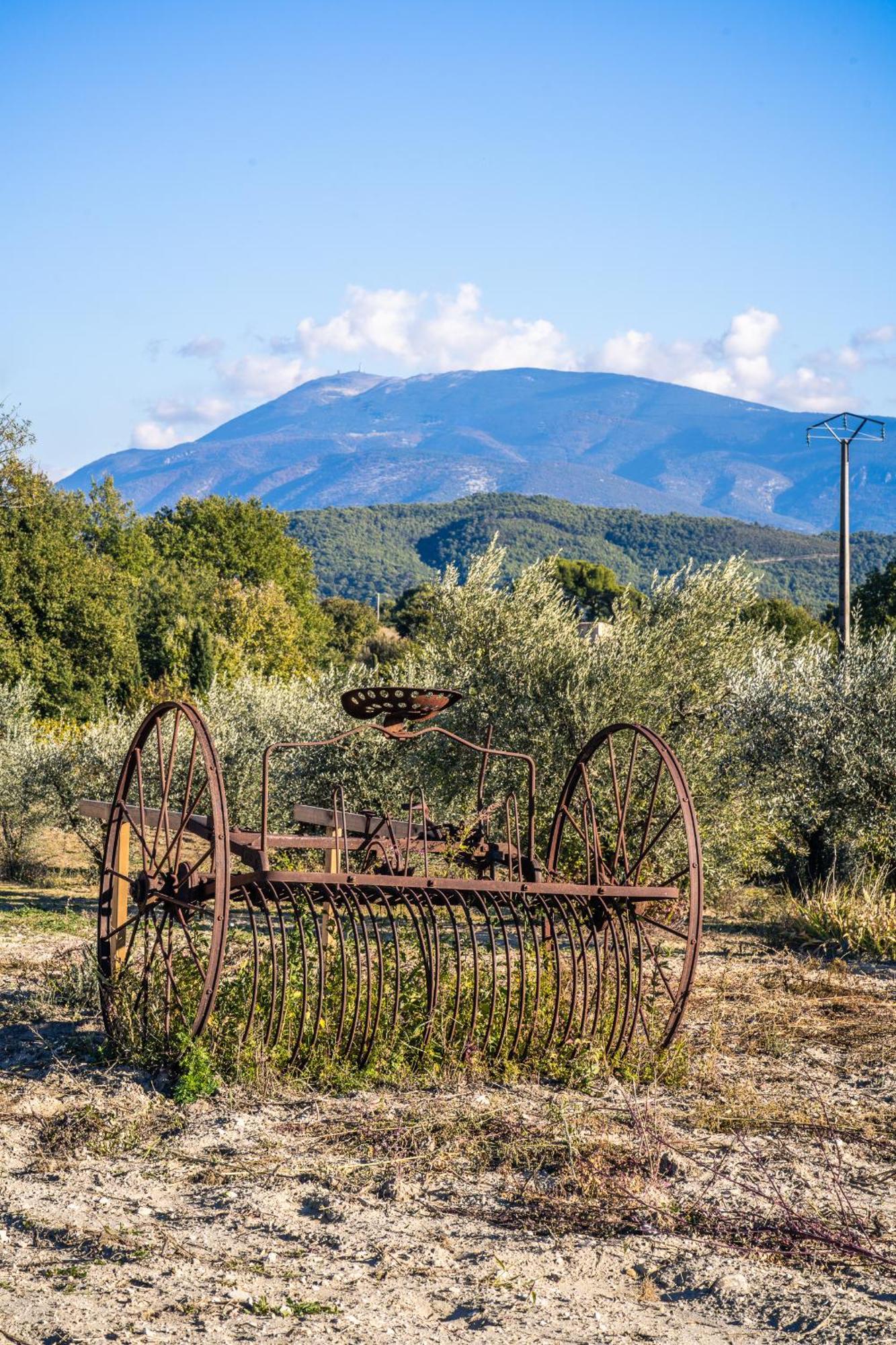 וזון-לה-רומיין Gite "La Sainte-Croix", Traditional Provencal House For 8 People, Private Swimming-Pool, Air-Conditioner, Beautiful Scenery מראה חיצוני תמונה